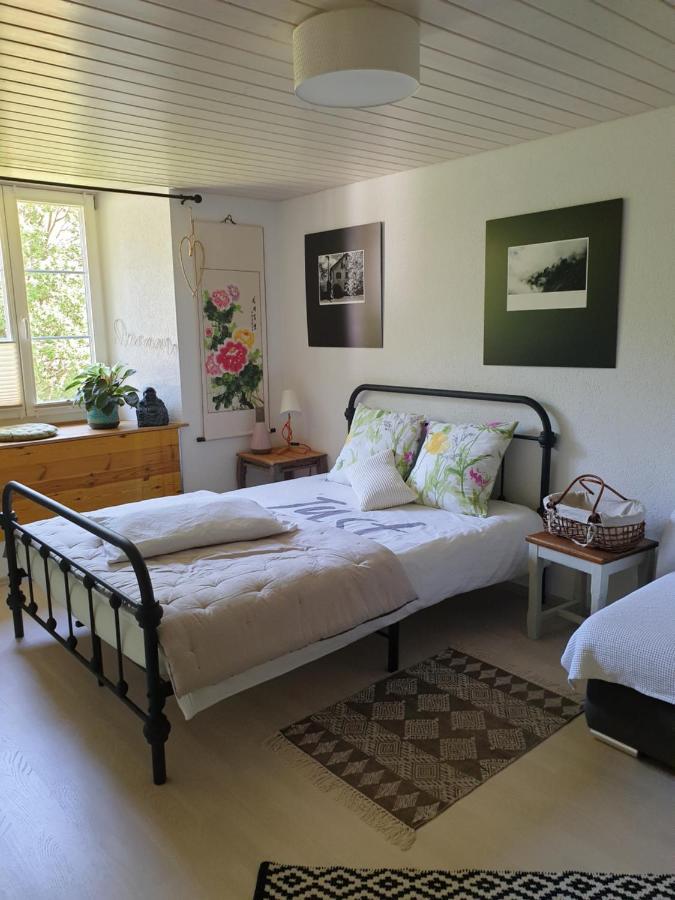 Agréable chambre d'hôtes, au calme, dans la nature Roches Extérieur photo