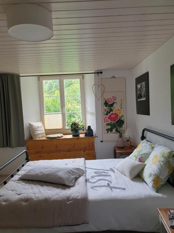 Agréable chambre d'hôtes, au calme, dans la nature Roches Extérieur photo