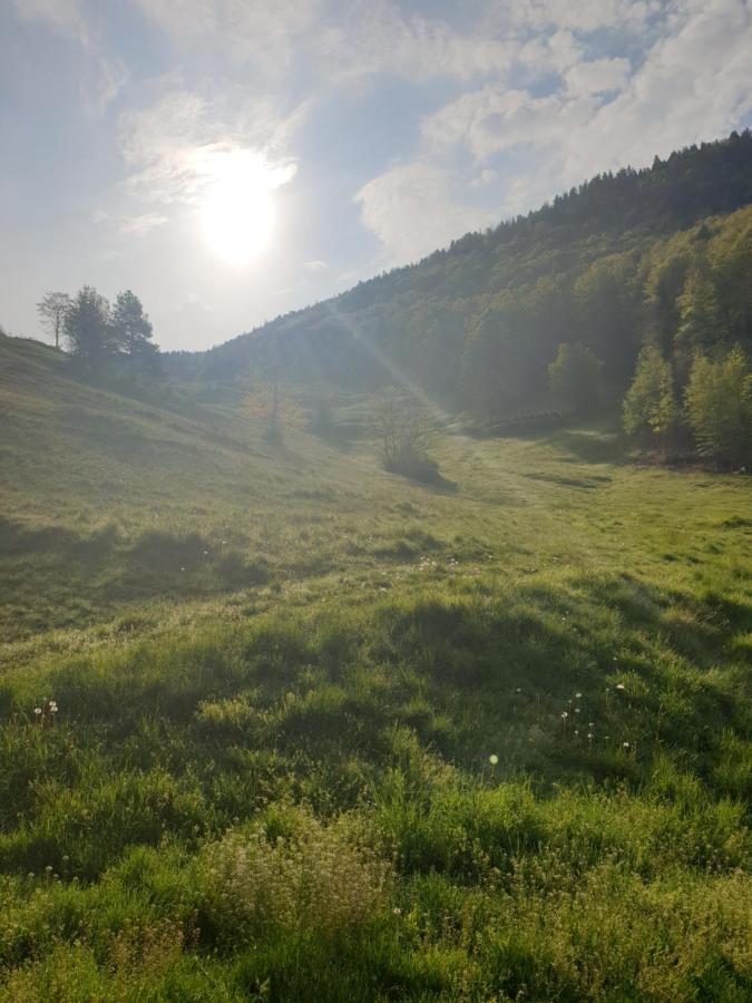 Agréable chambre d'hôtes, au calme, dans la nature Roches Extérieur photo