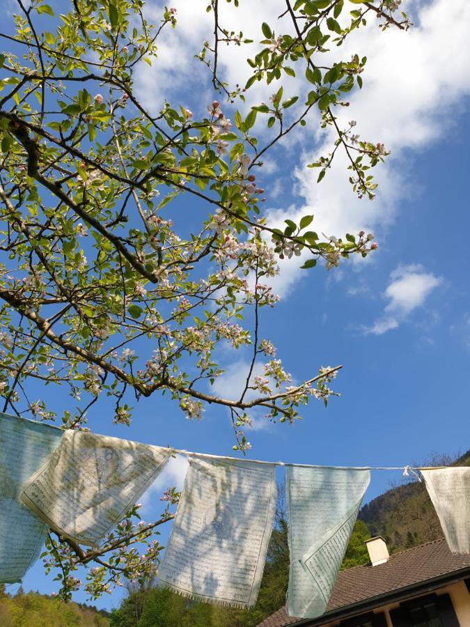 Agréable chambre d'hôtes, au calme, dans la nature Roches Extérieur photo