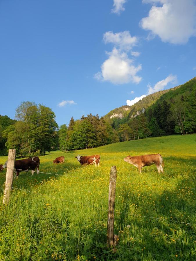 Agréable chambre d'hôtes, au calme, dans la nature Roches Extérieur photo