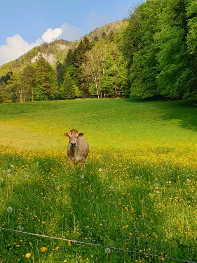 Agréable chambre d'hôtes, au calme, dans la nature Roches Extérieur photo