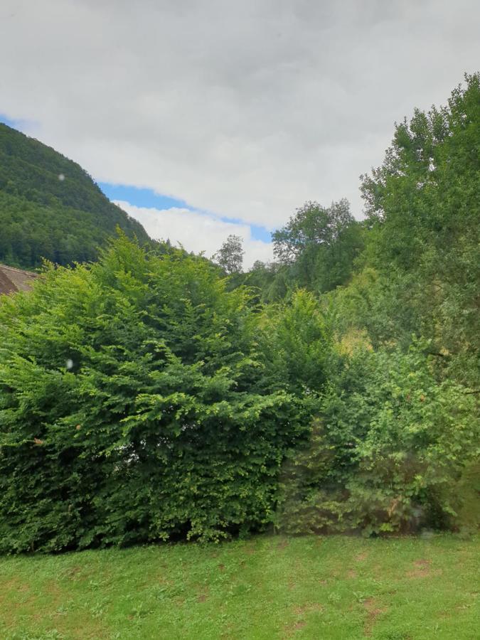 Agréable chambre d'hôtes, au calme, dans la nature Roches Extérieur photo