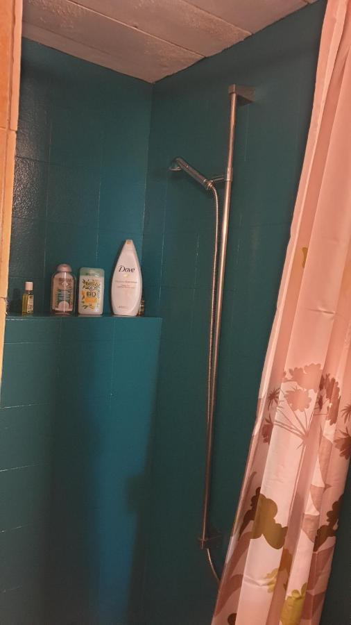 Agréable chambre d'hôtes, au calme, dans la nature Roches Extérieur photo